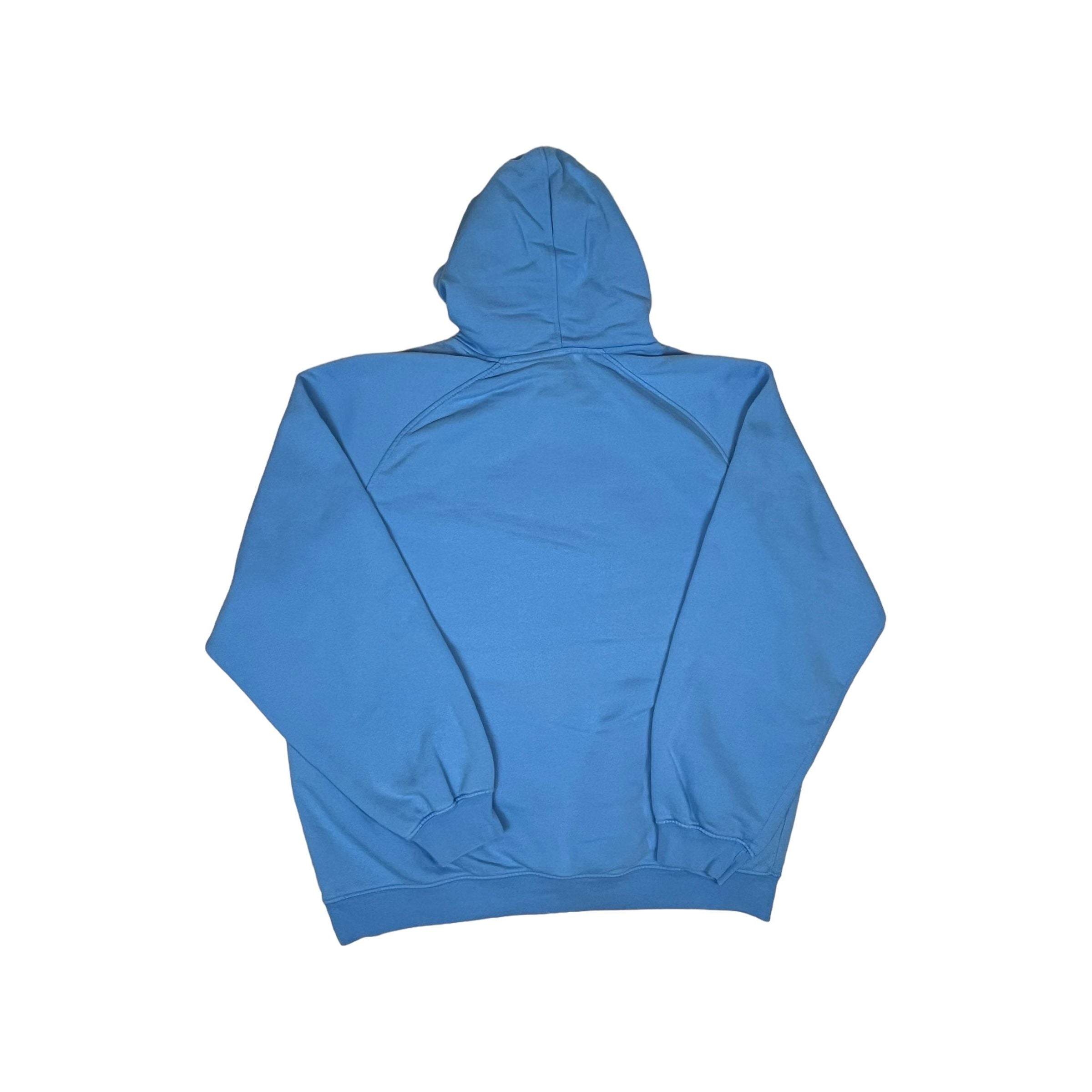 262226 (00s) Nike Carolina / Baby Blue Hoodie
