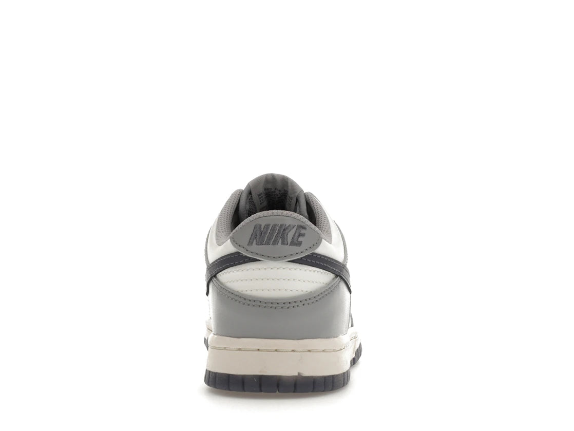268064 Nike Dunk Low Platinum Tint Light Carbon (GS)