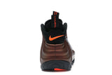 Nike Air Foamposite Pro Color Shift
