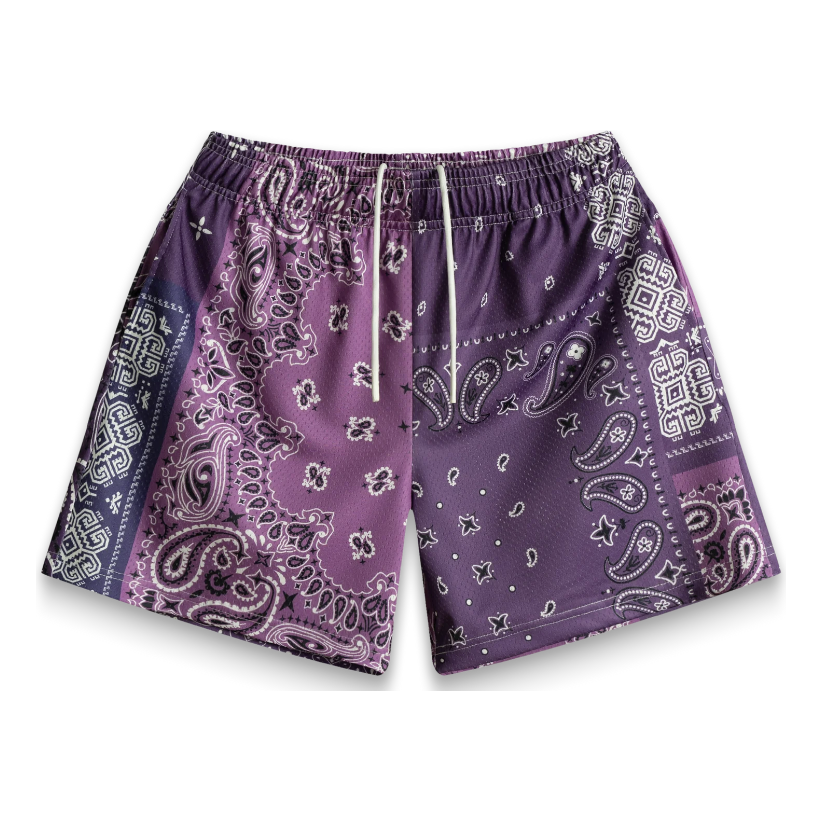 257588 Bravest Studios Patchwork Paisley Shorts 'Purple'