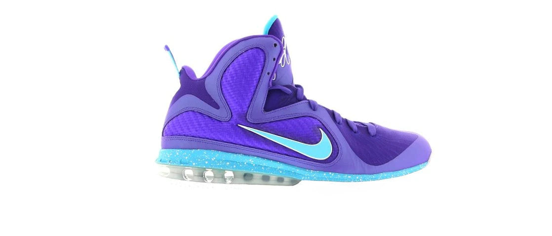 641393 Nike LeBron 9 Summit Lake Hornets