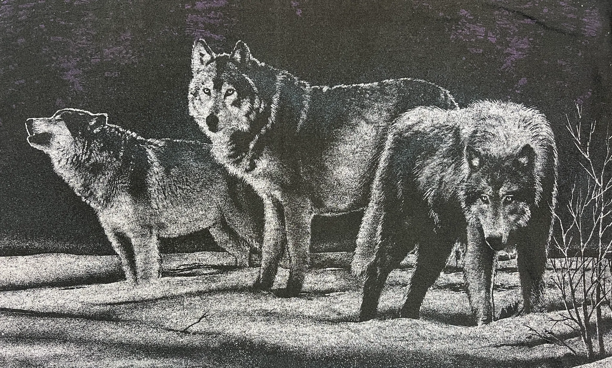 375196 (1991) Wolf Pack Night Scene All Over Print Nature T-Shirt