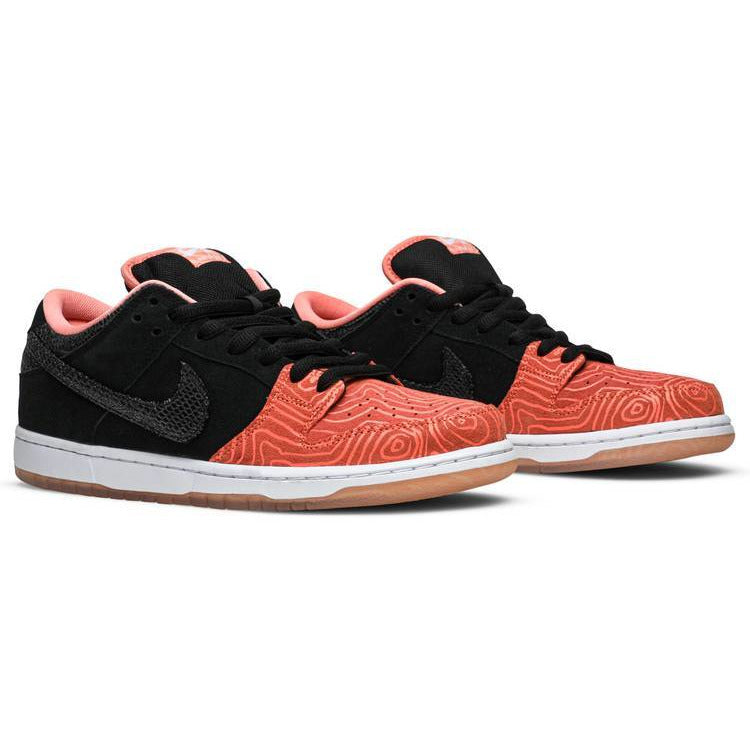 Nike Dunk SB Low Premier Fish Ladder