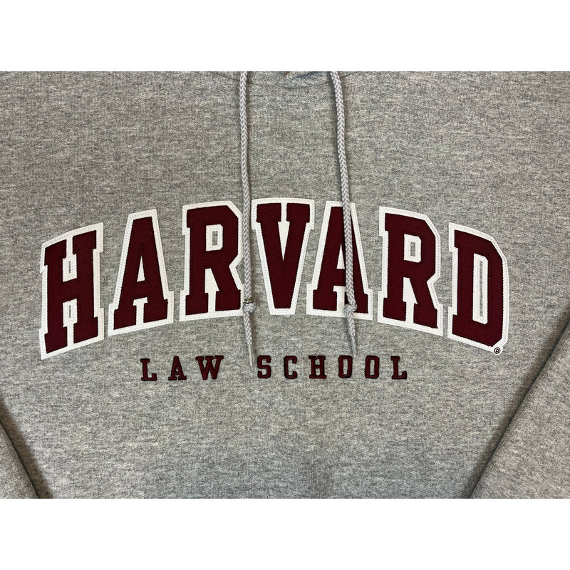 (00s) Harvard Law School Champion College Hoodie