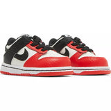 NBA x Dunk Low EMB TD '75th Anniversary - Bulls'