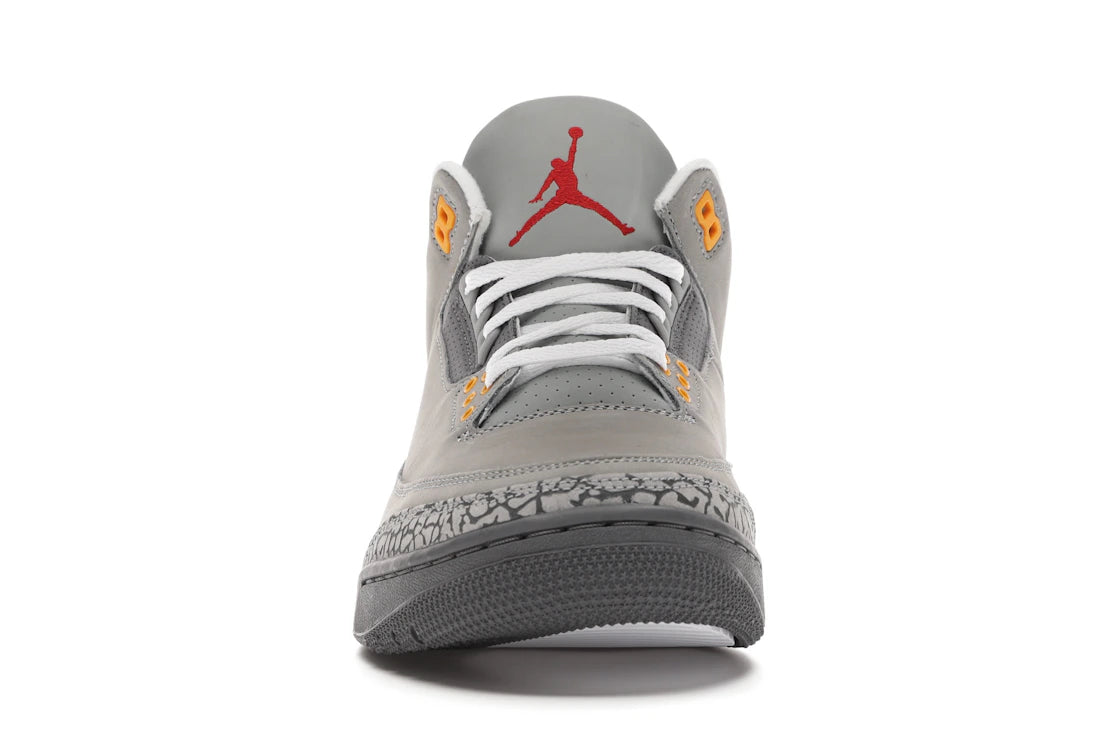 719296 Jordan 3 Retro Cool Grey (2021)