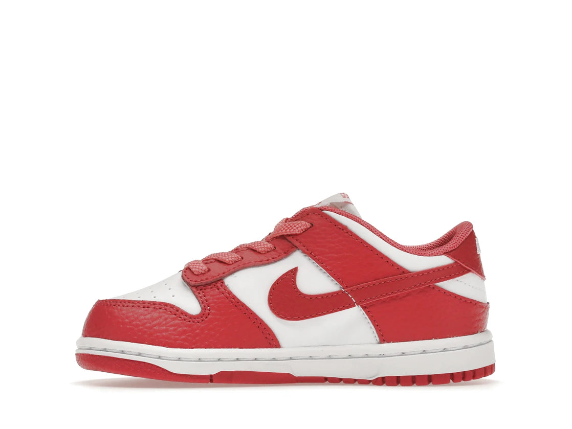 281230 Dunk Low TD 'Gypsy Rose'