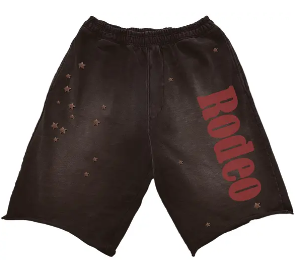 350549 Cactus Jack by Travis Scott x Sp5der Days Before Rodeo Shorts 'Brown'