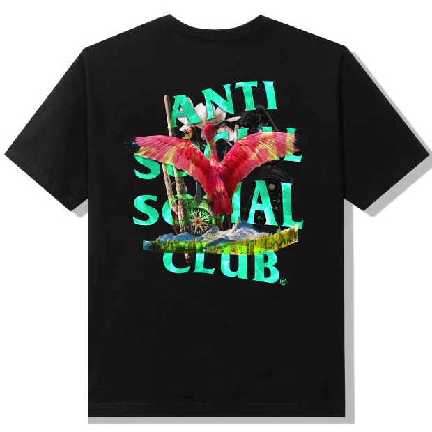 https://res.cloudinary.com/dlqdbsx2k/image/upload/v1731954017/xglmeycuh1sygajhgze5.png