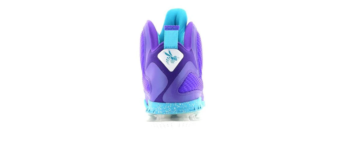 SP9775 Nike LeBron 9 Summit Lake Hornets