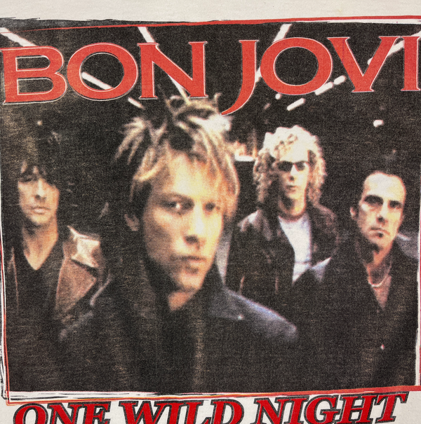 (2001) Bon Jovi 'One Wild Night' World Tour Concert T-Shirt