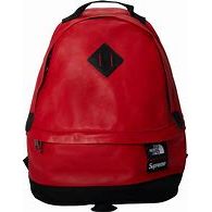 Supreme The North Face Leather Day Pack 'Red'